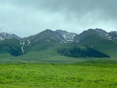 -新疆那拉提国家旅游度假区