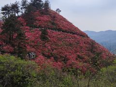 -木兰云雾山