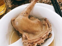 鸽子火锅-皇鸽餐厅(龙塘店)