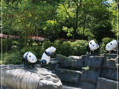 -都江堰中华大熊猫苑