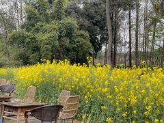 -中国天府农业博览园