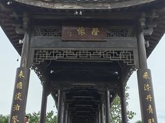 -飞来湖湿地公园