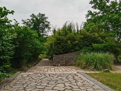 -贡湖湾湿地公园