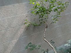 -兰溪青年公园