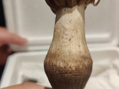 -滇野云南野生菌餐厅(陕西南路店)