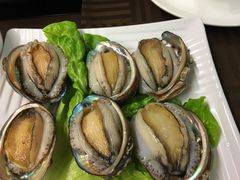 鲍鱼-金海阁海鲜火锅