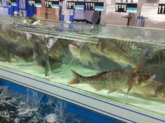 -沃尔玛购物广场(中山店)