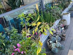-野菌皇海景野生菌火锅(滨海大道店)