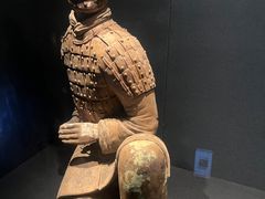 -陕西历史博物馆