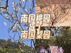 -南国桃园旅游度假区