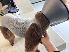 -宠颐生嘉德动物医院