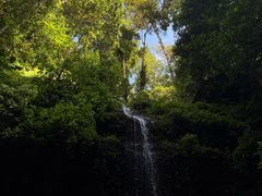 -莫里热带雨林景区