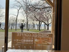 -支芴洞爷国立公园