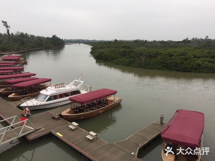 东寨港红树林旅游区码头图片