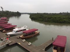 码头-东寨港红树林旅游区