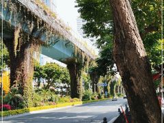 -溪岸路花鸟市场