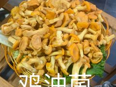 -易门野生菌府·菌海森林(月牙潭公园店)