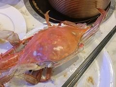 -半岛听涛蒸汽海鲜自助(K11店)