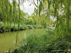 -济南大明湖景区