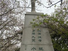 -武汉大学-樱园