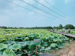 -梁鸿国家湿地公园