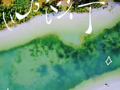 -塞尔夫岛