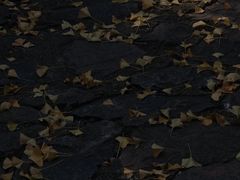 -狼山风景名胜区