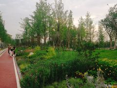 -府河摄影公园
