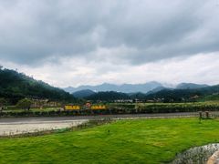 -福建土楼（华安）旅游区•大地土楼群