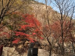 -崂山九水游览区