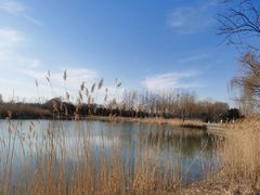 -大兴滨河森林公园