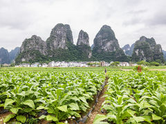 -钟山水墨田园