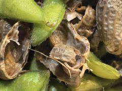 -壹块捌烧烤(灯市口店)