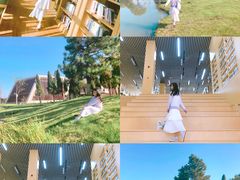 -瑶湖郊野森林公园