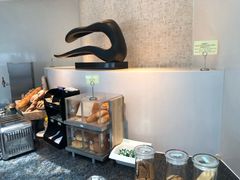 -虹桥机场国航贵宾室v8