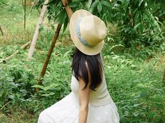 -桃源山庄·水蜜桃采摘·柴火鸡·烧烤团建(龙泉山店)