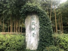 -十八棵（老龙井）御茶园(老龙井店)