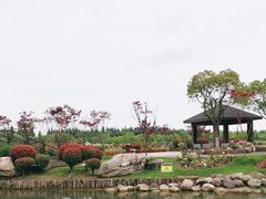 -上海鲜花港
