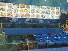 -七鲜渔港美食餐厅(巽寮湾海景店)