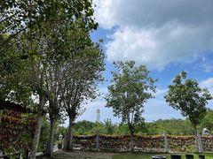 -三亚南山文化旅游区