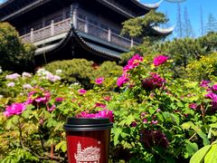 -龙华寺