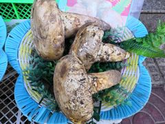 -佳缘野生菌食府