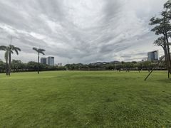 -紫马岭公园