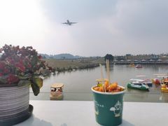-空港花田景区