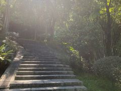 -火炉山森林公园