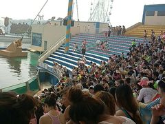 -秦皇岛乐岛海洋王国