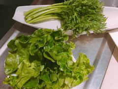 生菜-海底捞火锅(武胜路凯德广场店)