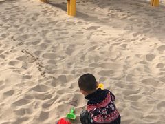 景点-南宫五洲植物乐园