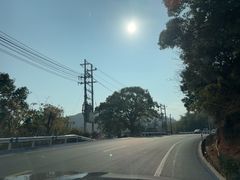 -小皓村
