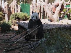 -大连森林动物园